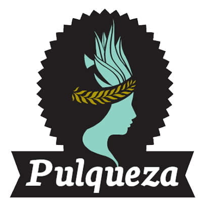 Cervecer&iacute;a Pulqueza, cervezas Pulqueza