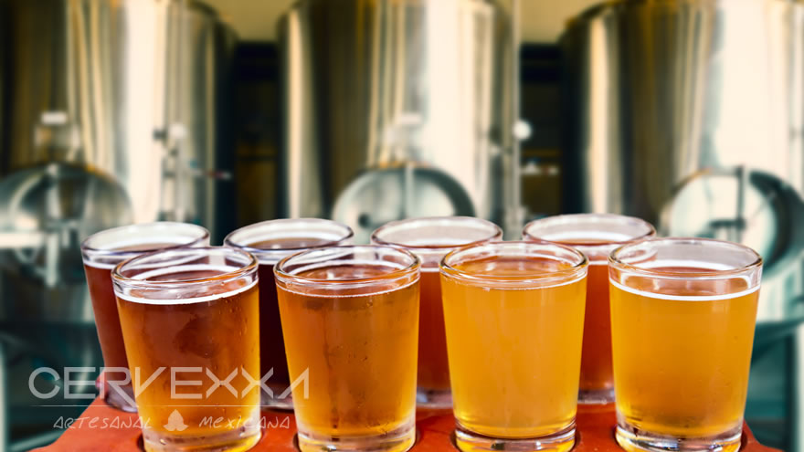 Fabricación de cerevza artesanal