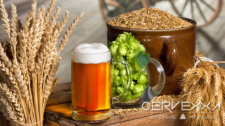 Las “cervezas” auténticamente mexicanas 3 Cervezas auténticamente mexicanas