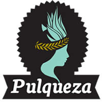 Cerveza Pulqueza
